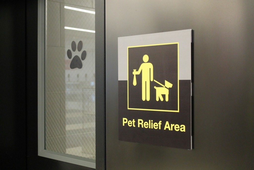 aeroporto_pet