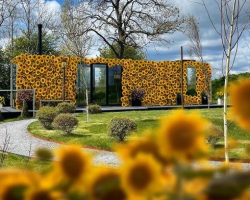 O staycation inspirado em girassóis idealizado pela Interflora