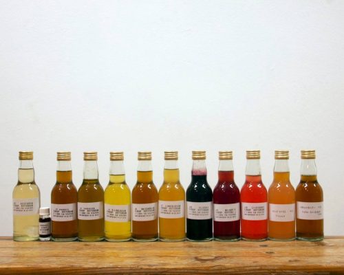 Descubra o sabor de Rotterdam