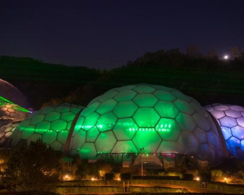 China vai ganhar a maior floresta tropical indoor do mundo