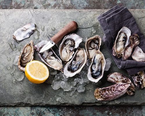 Restaurantes devolvem conchas vazias ao oceano para reconstrução de recifes