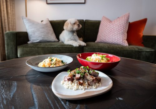 Virgin Hotel estreia menu gourmet e canal calmante para cães