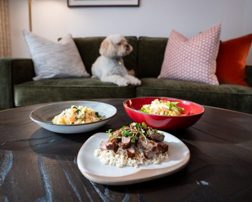 Virgin Hotel estreia menu gourmet e canal calmante para cães