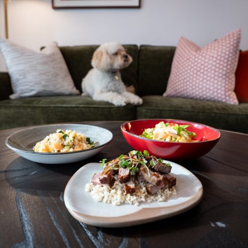 Virgin Hotel estreia menu gourmet e canal calmante para cães