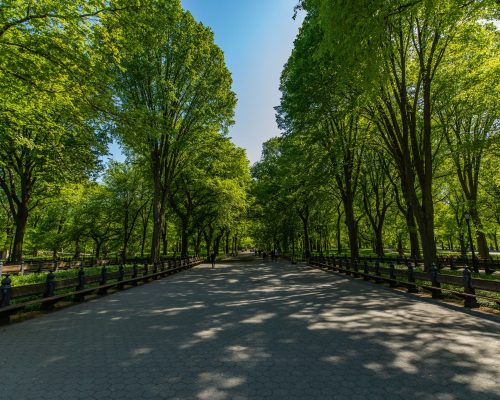 The Climate Lab: O laboratório climático no Central Park
