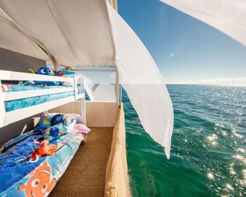 Airbnb lança promoção para se hospedar sobre um jardim de coral