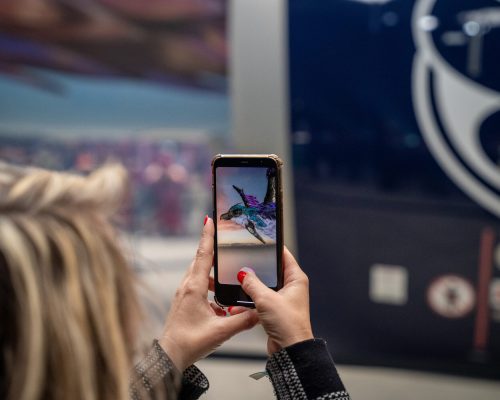 A aeronave com arte em realidade aumentada da Brussels Airlines