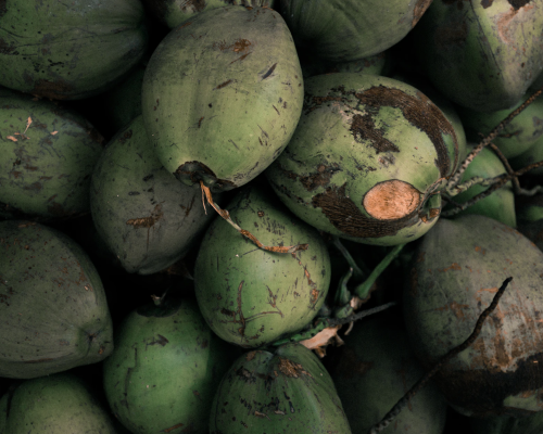 Amilla Maldives está cultivando suas próprias frutas e vegetais