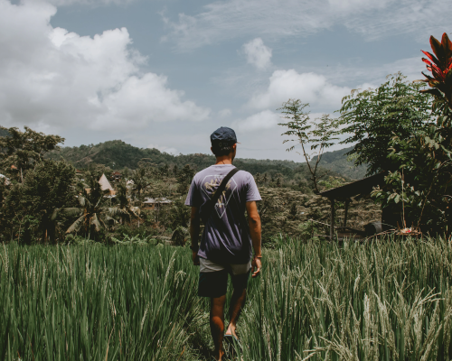 Booking anuncia selo de sustentabilidade para aluguel de curto prazo