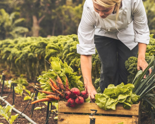 Fundação James Beard realiza campanha com restaurantes pela ação climática