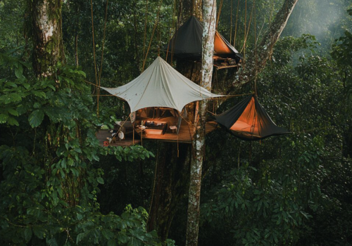 Cookson Adventures cria experiência nas copas da floresta de Bornéu