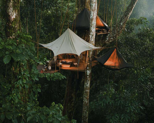 Cookson Adventures cria experiência nas copas da floresta de Bornéu