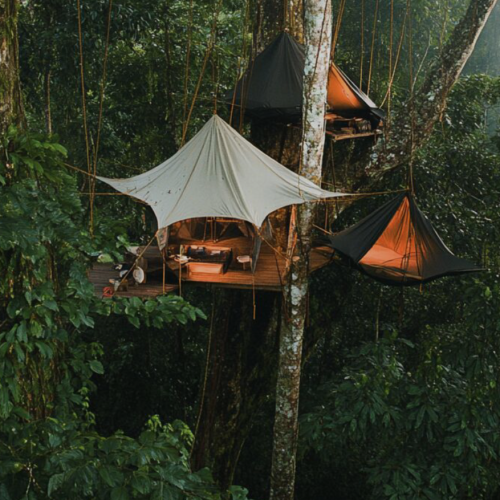 Cookson Adventures cria experiência nas copas da floresta de Bornéu