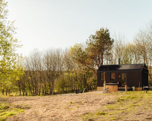 Unplugged lança cabana de detox digital na Inglaterra