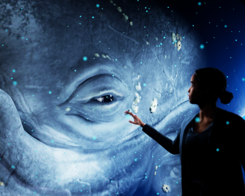 Hologram Zoo: O zoológico tecnológico e holográfico na Austrália