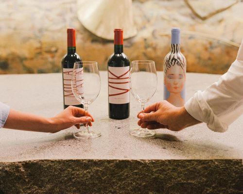 VIK Vineyard aposta em tour virtual para atrair novos hóspedes