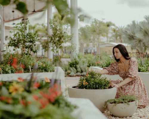 JW Garden: Os novos espaços botânicos dos hotéis JW Marriott