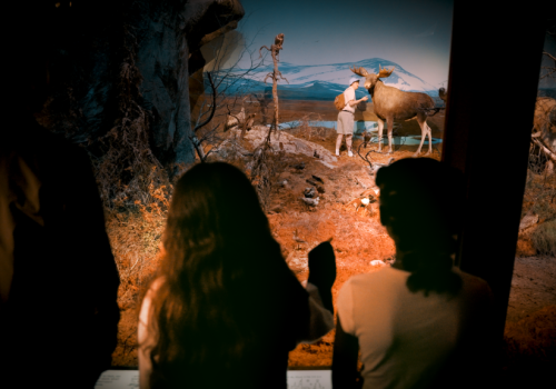 Turismo com QI: Uppsala aposta em viagens para mentes curiosas