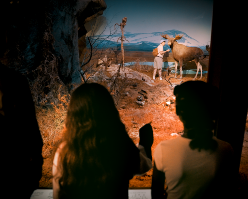 Turismo com QI: Uppsala aposta em viagens para mentes curiosas