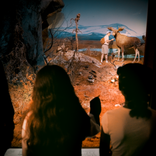 Turismo com QI: Uppsala aposta em viagens para mentes curiosas