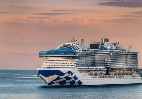 Princess Cruises vai transmitir a Copa do Mundo a bordo