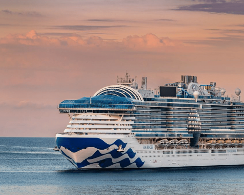 Princess Cruises vai transmitir a Copa do Mundo a bordo