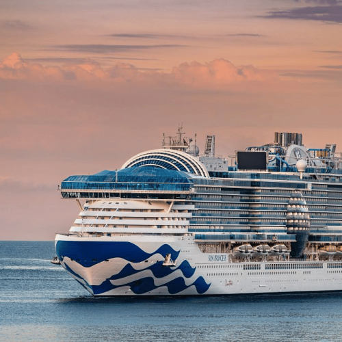Princess Cruises vai transmitir a Copa do Mundo a bordo