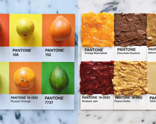 Designer transforma alimentos em cartela de cores Pantone