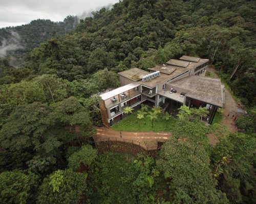Mashpi Lodge Equador identifica novas espécies de plantas