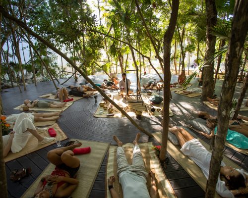Palmaïa: O resort que deseja aprimorar a conexão entre humanos e natureza