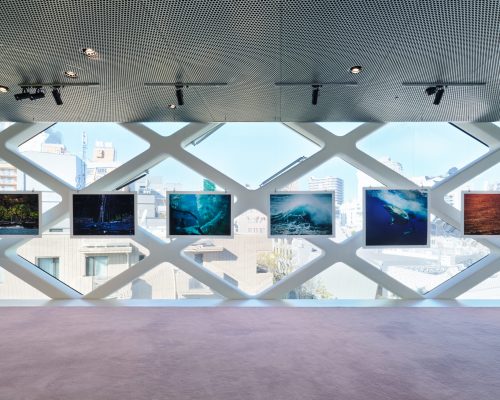 Prada e UNESCO realizam evento sobre preservação marinha