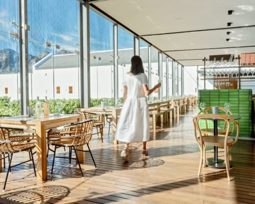 Babylonstoren Hotel-Farm anuncia seu próprio clube do vinho