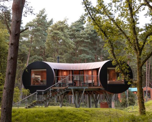 TreeDwellers: As casas na árvore com imersão na natureza
