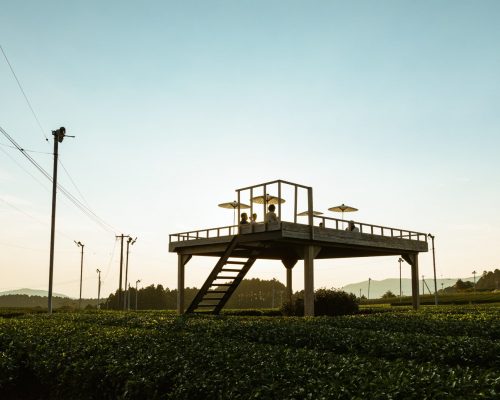 União de produtores recupera a tradição das cerimônias do chá no Japão