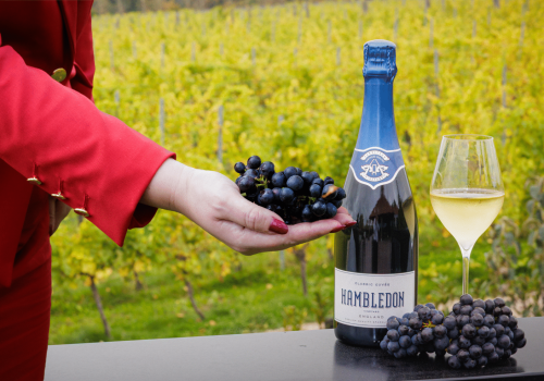 Virgin Atlantic e Hambledon Wine Estate idealizam espumante exclusivo