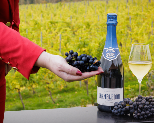 Virgin Atlantic e Hambledon Wine Estate idealizam espumante exclusivo