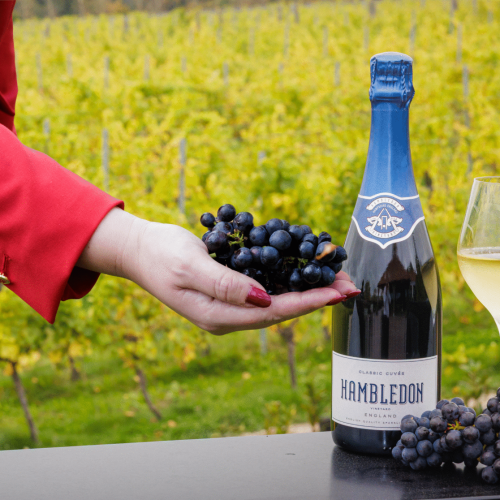 Virgin Atlantic e Hambledon Wine Estate idealizam espumante exclusivo