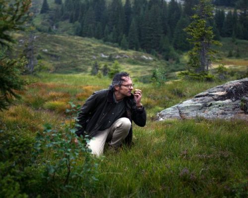 Conheça o roteiro inspirado nos aromas de Graubunden