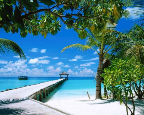 Plataforma de viagens especializada em férias na praia