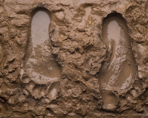 Footprints on wet mud