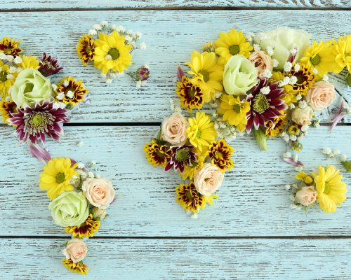 Map of world made from different kinds of flowers, close-up
