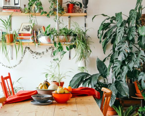 Airbnb anuncia atualizações inspiradas na economia compartilhada