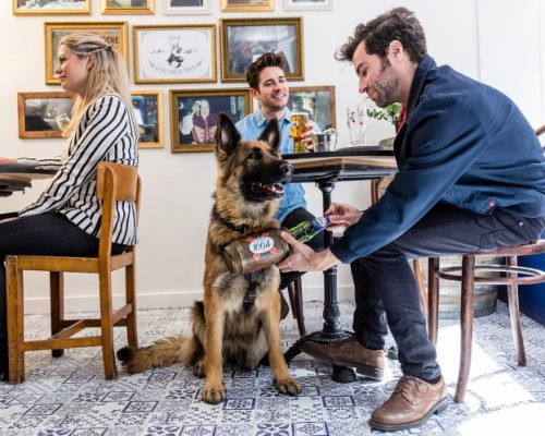 O primeiro bar com cães garçons em Londres
