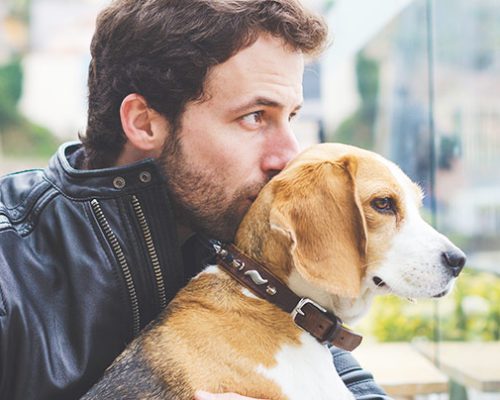Digi-Pet Offers Reassurance for Owners of On-Board Pets