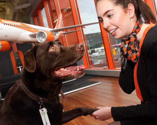 Os uniformes feitos de tecido proveniente de garrafas plásticas da easyJet
