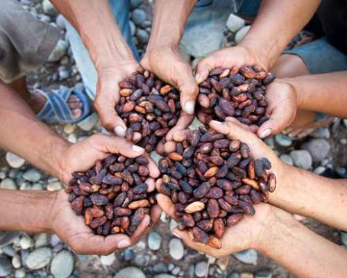 Pequenas casas rurais para alugar ganham adeptos na Europa
