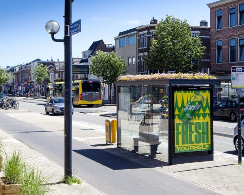 Pontos de ônibus projetados para atrair abelhas e polinizadores