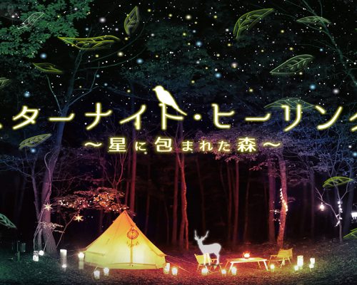 Planetário japonês oferece sessões de relaxamento florestal