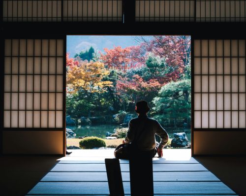 Japan Airlines lança vôos domésticos de cortesia