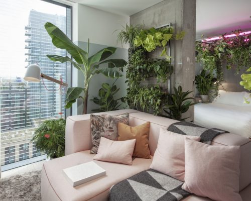 Thejoyofplants.co.uk reveal the UK’s first JUNGLE SUITES at Leman Locke Hotel – bookable from 19th October